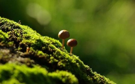 关于老舍经典语录精选