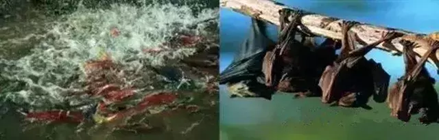 毛骨悚然！唐山大地震七大诡异谜团
