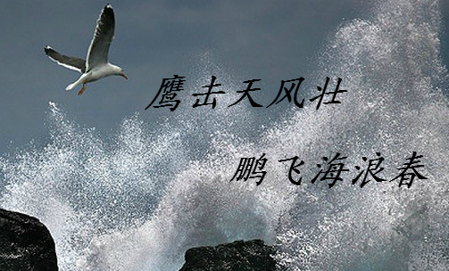 志者战高考，惰者畏高考