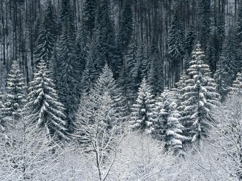 关于雪景经典语录大全