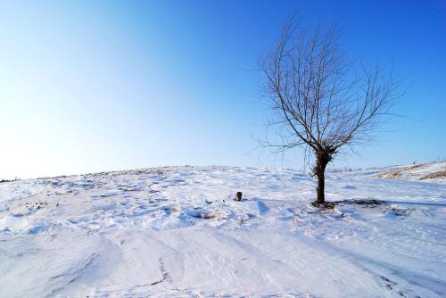 关于雪景经典语录大全