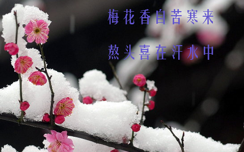 高考是一个实现人生的省力杠杆