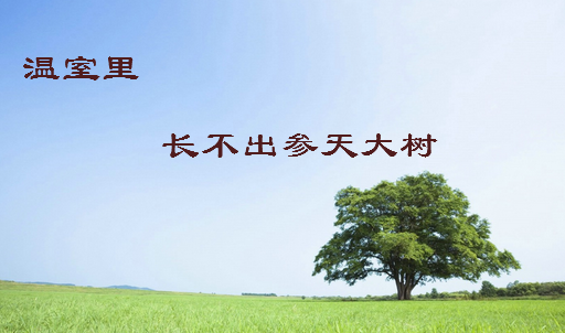 不经历风雨 怎能见彩虹