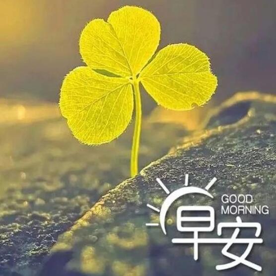 世界很大、风景很美、机会很多、人生很短