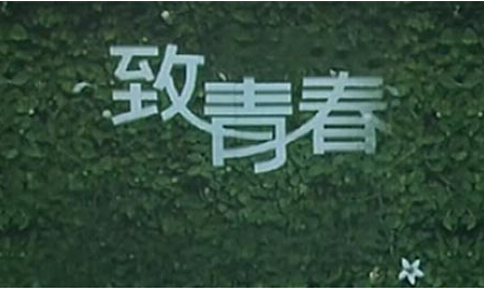 我们活着不能与草木同腐