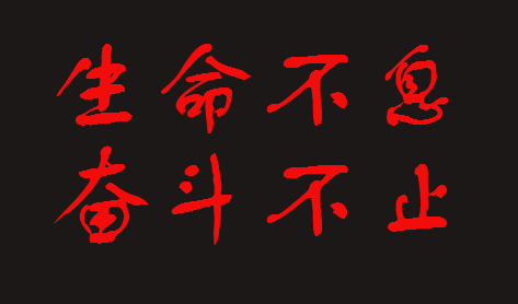 惊涛骇浪，方显英雄本色