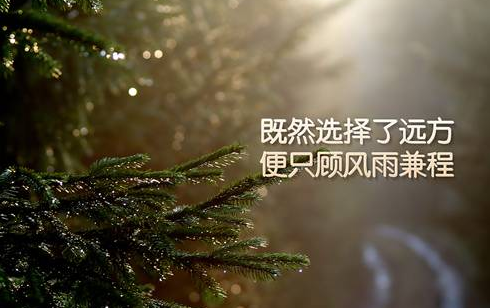 俞敏洪的书籍_关于俞敏洪的书