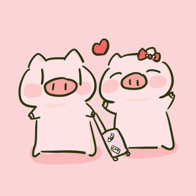 毕加猪最新语录精选