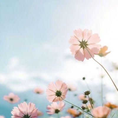 经典中英文的幸福语录