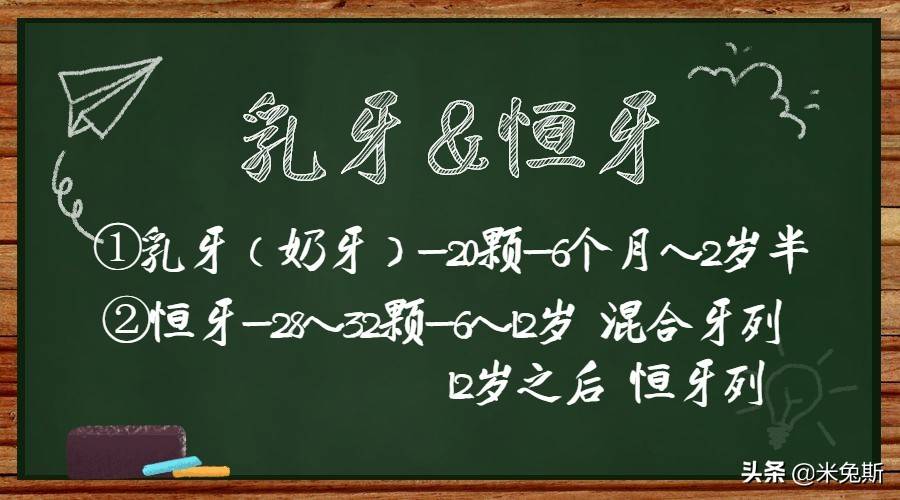 大家对每个牙齿真正的样子了解吗？