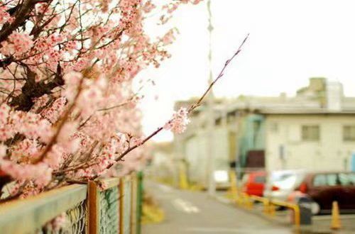 情人节伤感个性说说大全(44句)