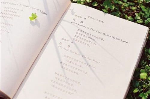 2019情人节说说大全