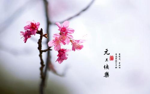2020年1月1日说你好的唯美说说