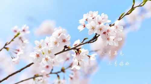 和二月说声再见,与三月道一声你好的唯美说说