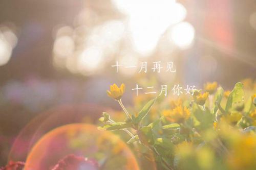 十一月的尾巴，十二月的开始的唯美说说