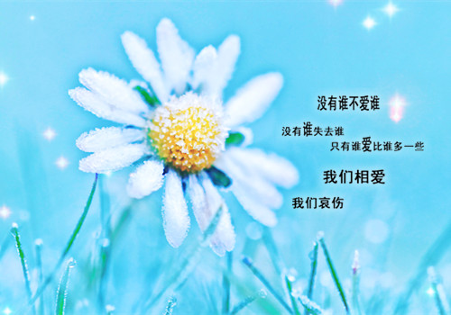 数学名人名言