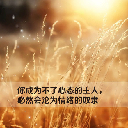 当你穿上了爱情的婚纱 我也披上了和尚的袈裟