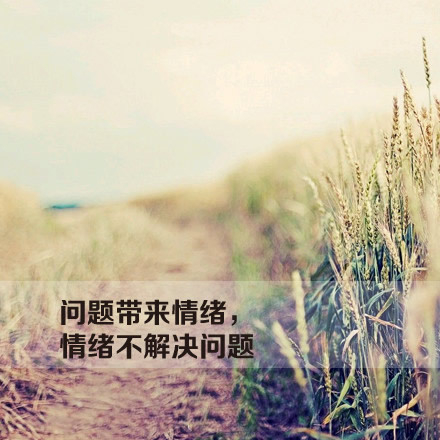 天不怕 地不怕 就怕CFO当CEO