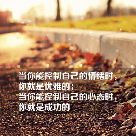 覆盖一片青瓦