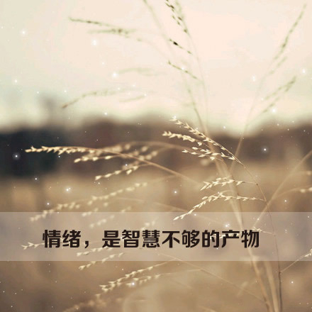 你的头发美丽而哀愁
