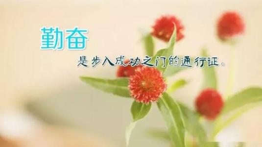小智经典语录