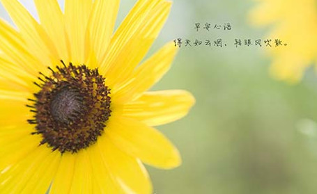 国内外名人语录经典版