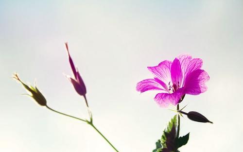 黑格尔的名人名言