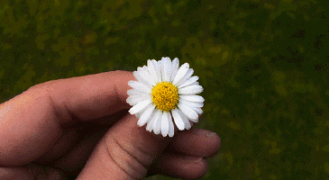 生命的人生名人名言