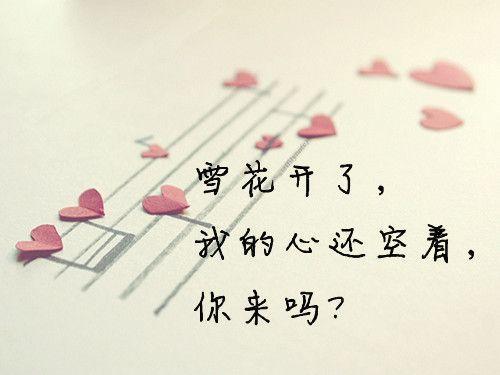 关于美食的撩人情话