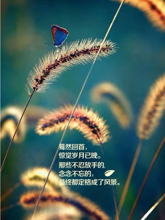 2021八一建军节祝福语短信