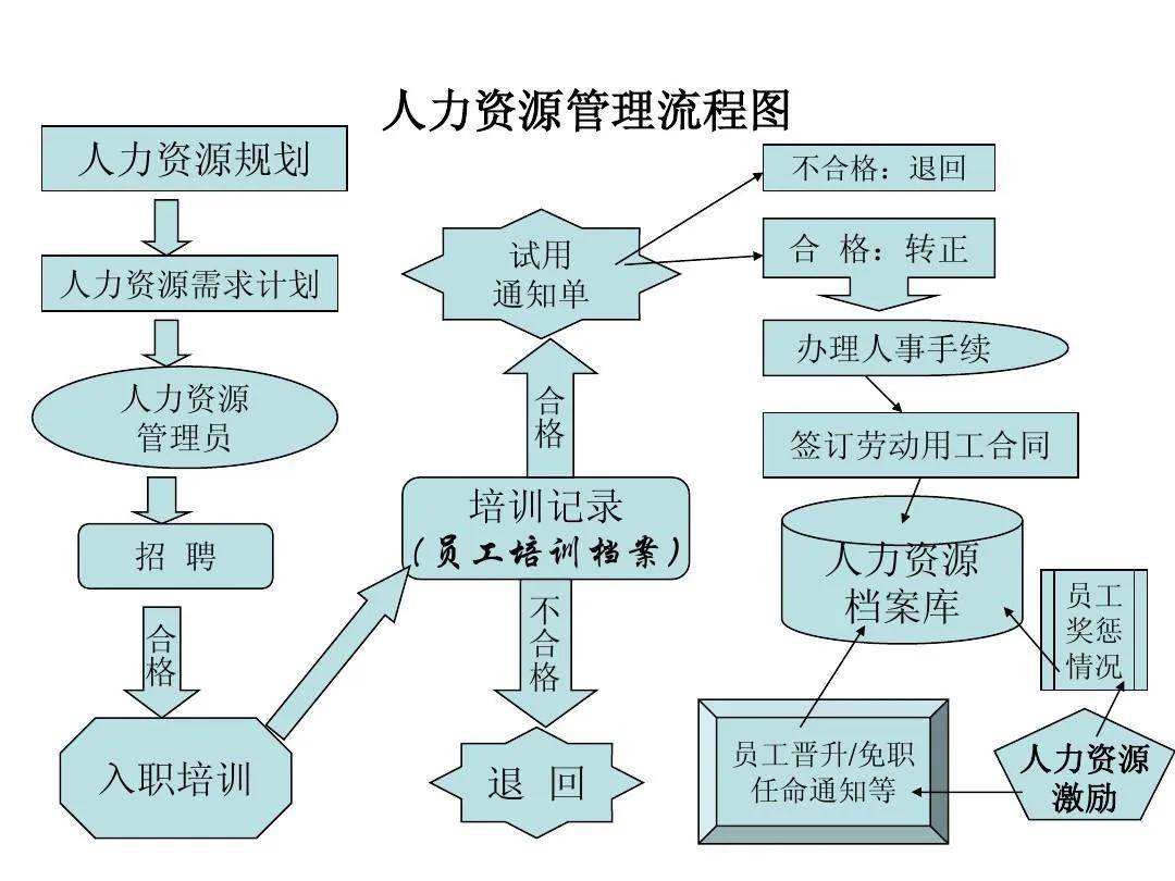 人力资源管理专业详解