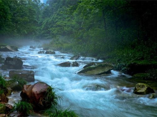 张家界旅游攻略，张家界必玩景点有哪些？该怎么玩？