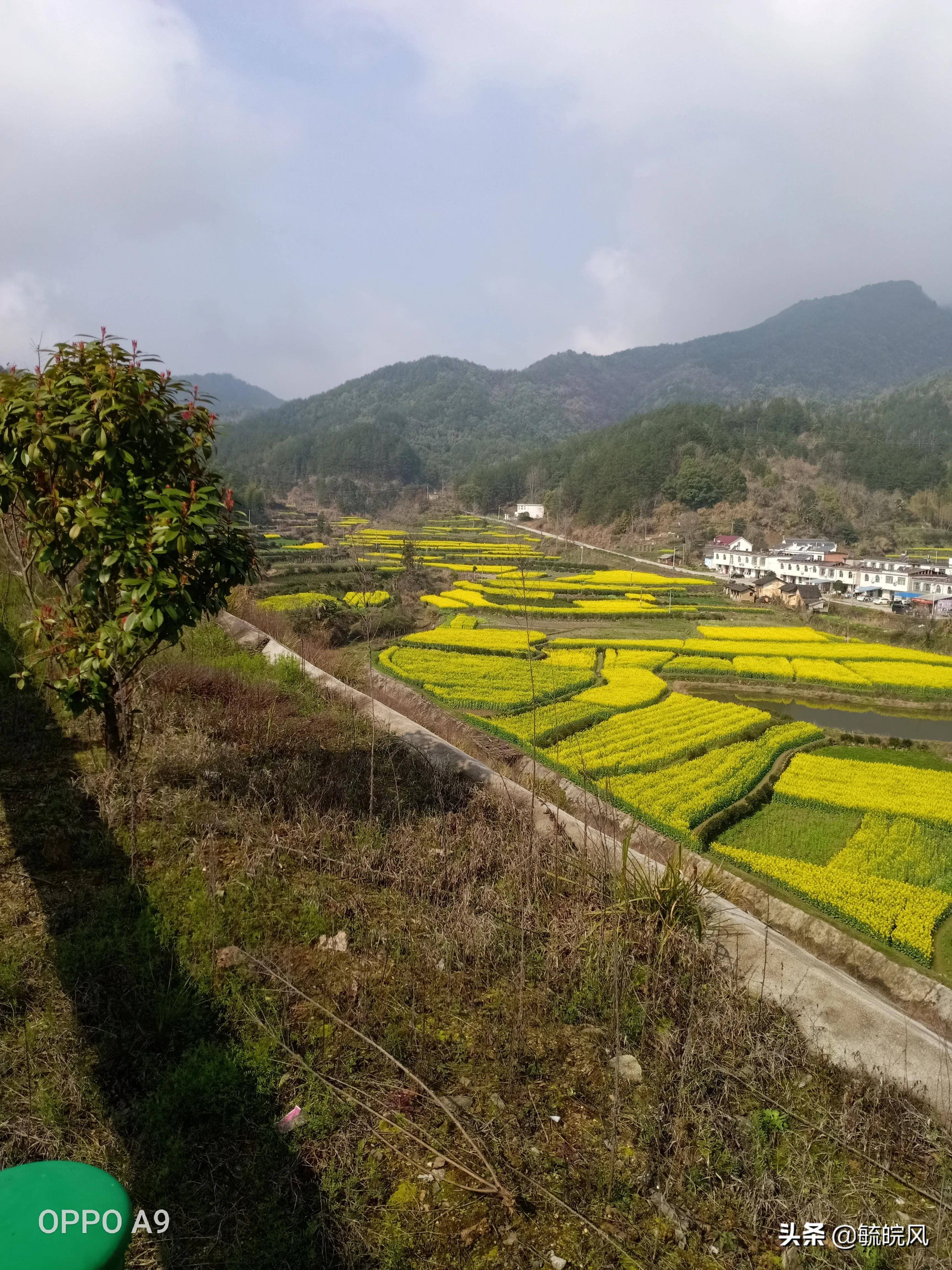 毓皖风——怎样快速找到出生年的天干地支<属相>