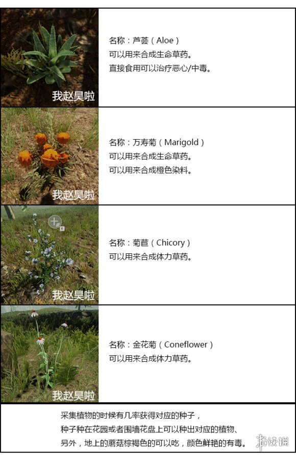 《森林》武器资料+合成配方+材料大全