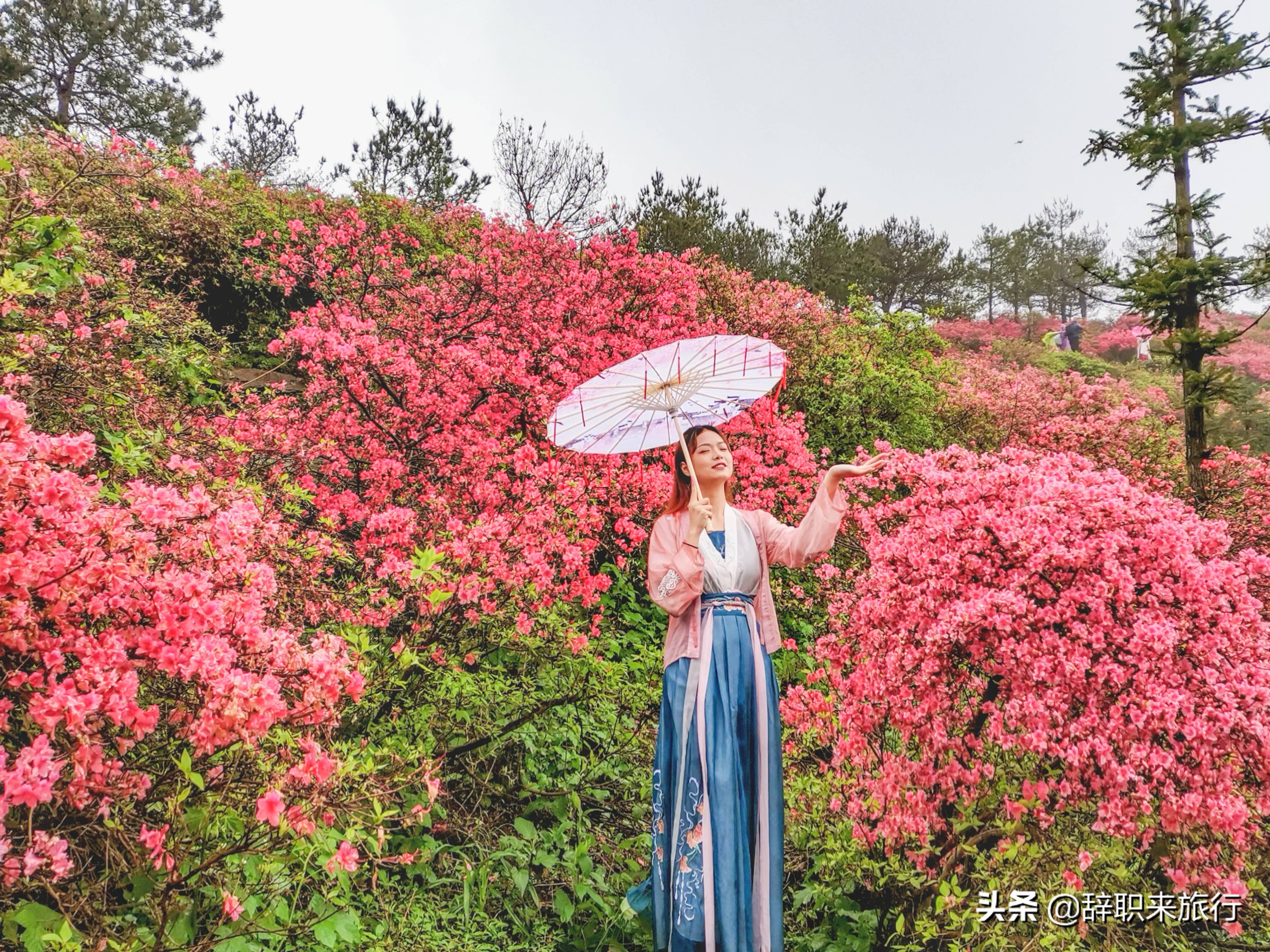 武汉五一周边游，推荐一个好地方，有山有水有古镇