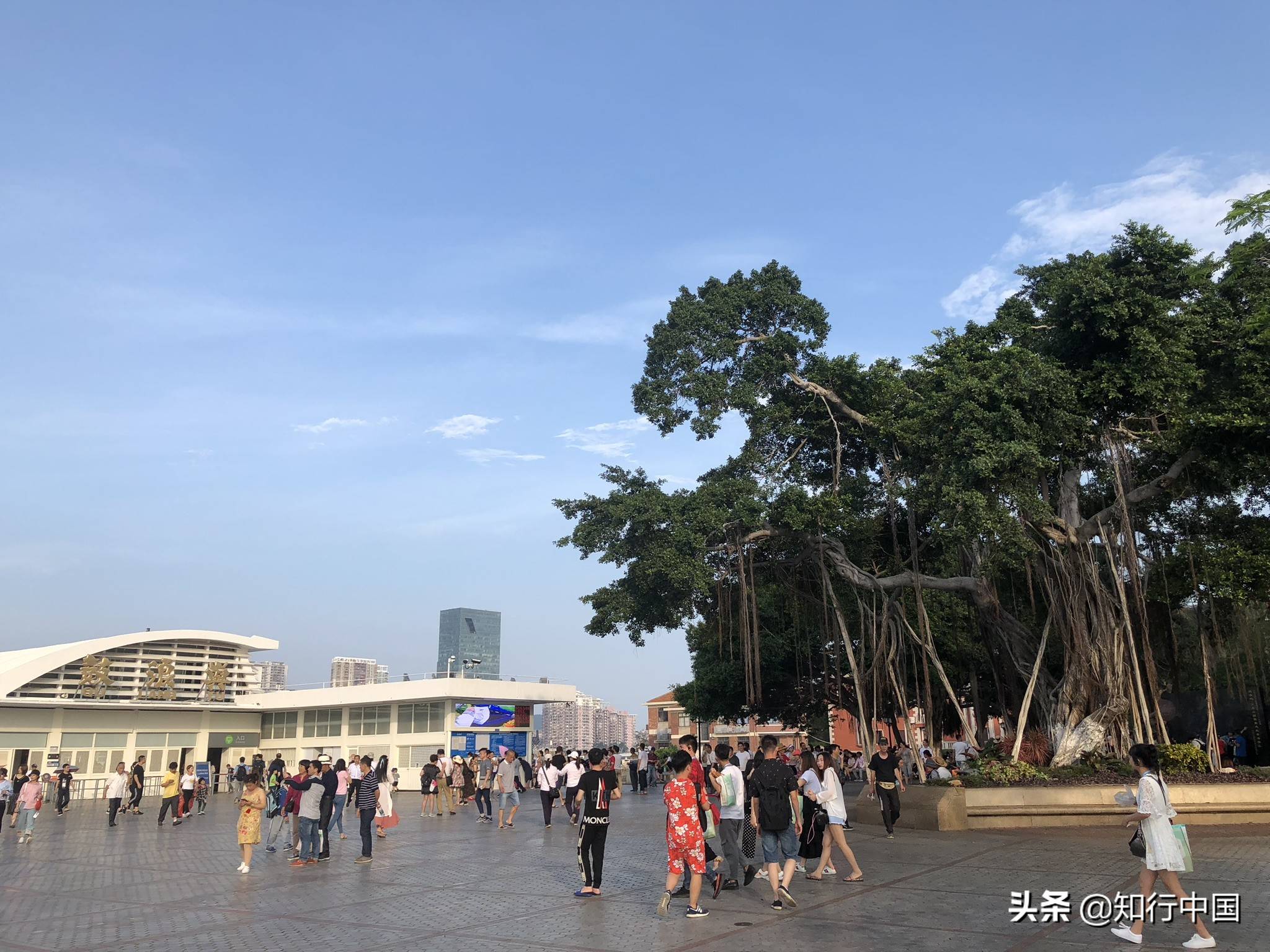 带你玩转厦门鼓浪屿！好吃的好玩的，网红景点，都快看不过来了