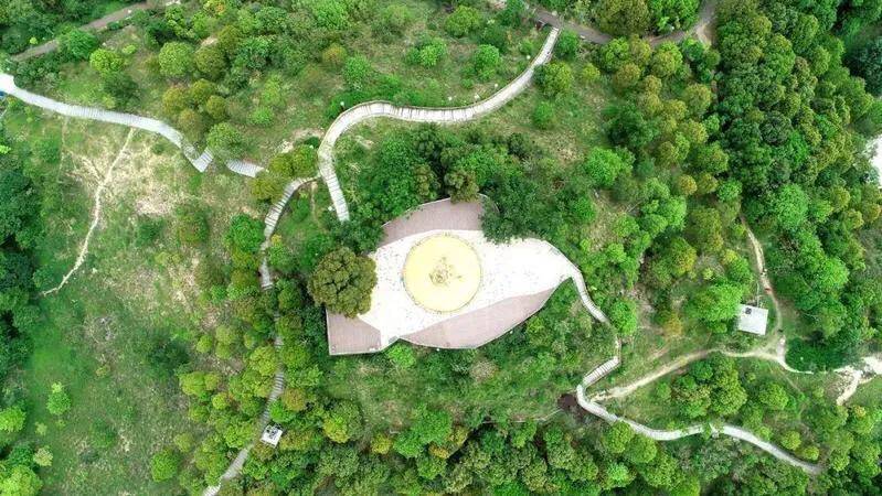 深圳十大免费花海公园