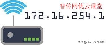 Linux系统怎么使用命令行查询公网IP地址