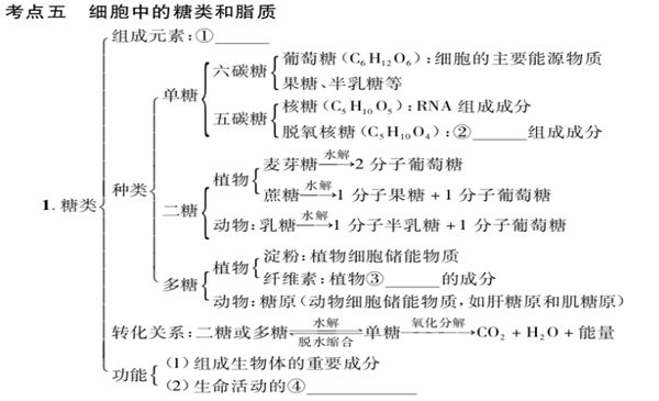 生物必修一知识框架结构图 高中生物知识点总结