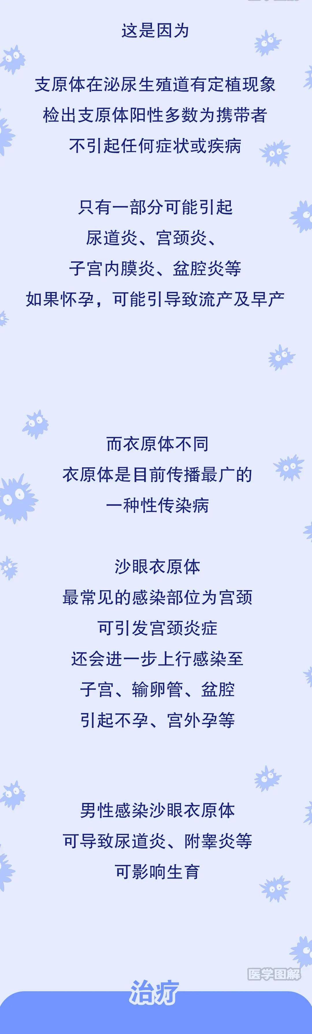 支原体、衣原体到底怎么回事？怎么治疗、预防丨医学图解