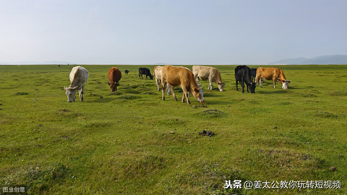 推荐几个在农村可以做的几个创业项目