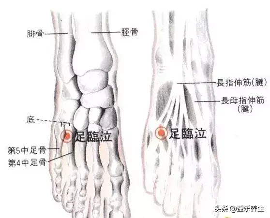 脚上有一个穴位，能帮你打开任督二脉