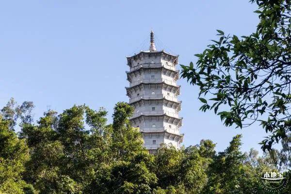 深圳十大免费花海公园