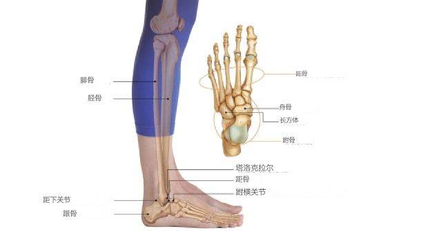 脚踝僵硬，脚背痛，容易受伤？这些技巧和常识你要知道