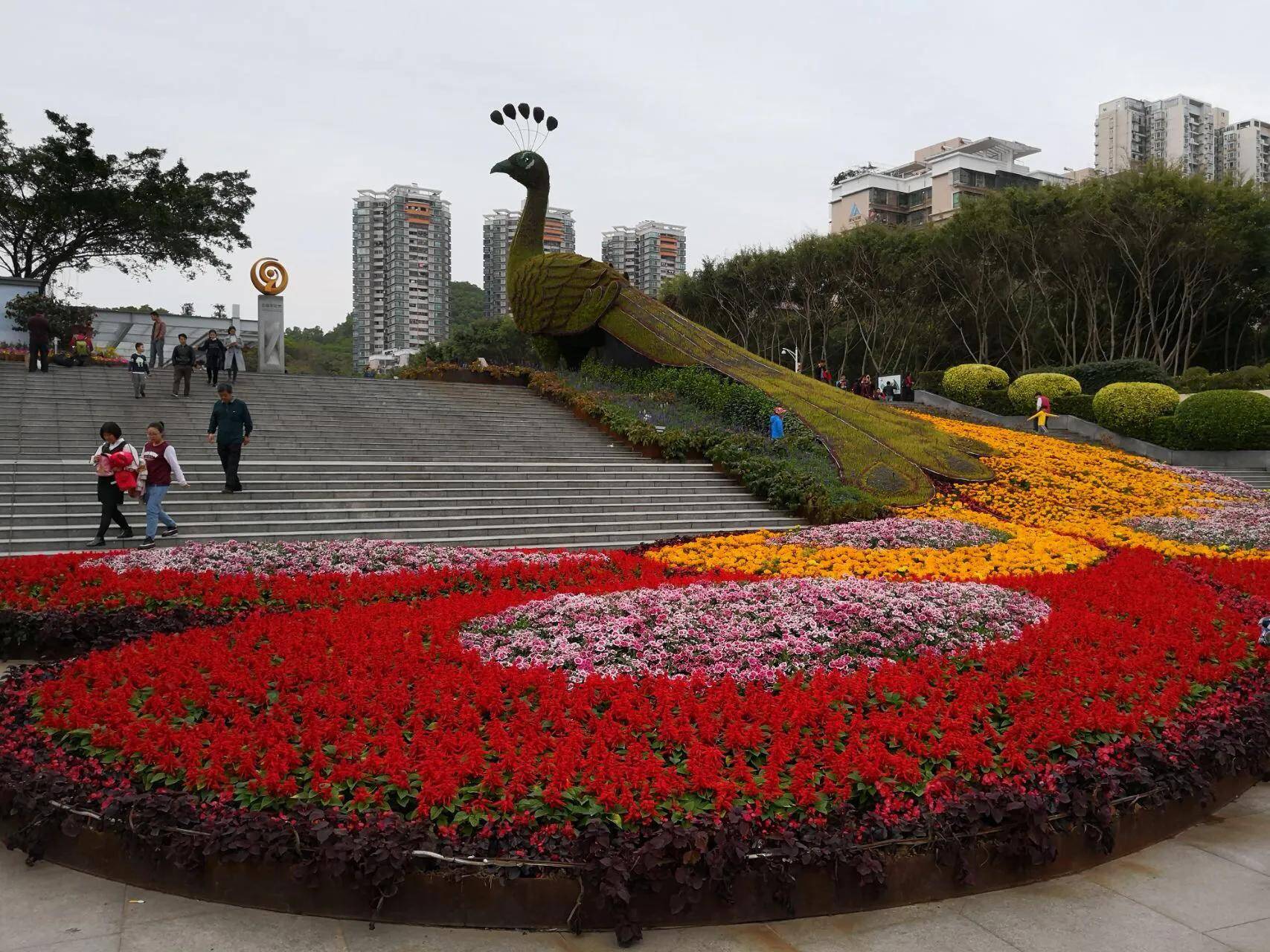 深圳十大免费花海公园