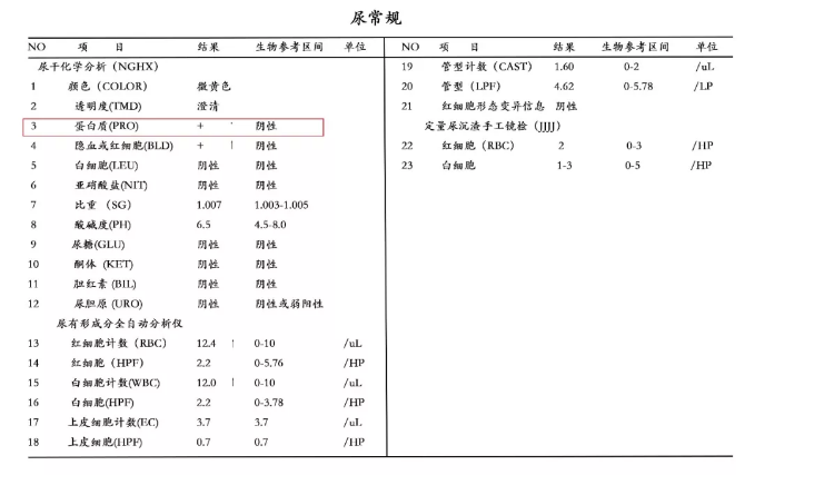 尿常规中的“ ”号，都是什么意思？教你读懂尿常规里的各种项目