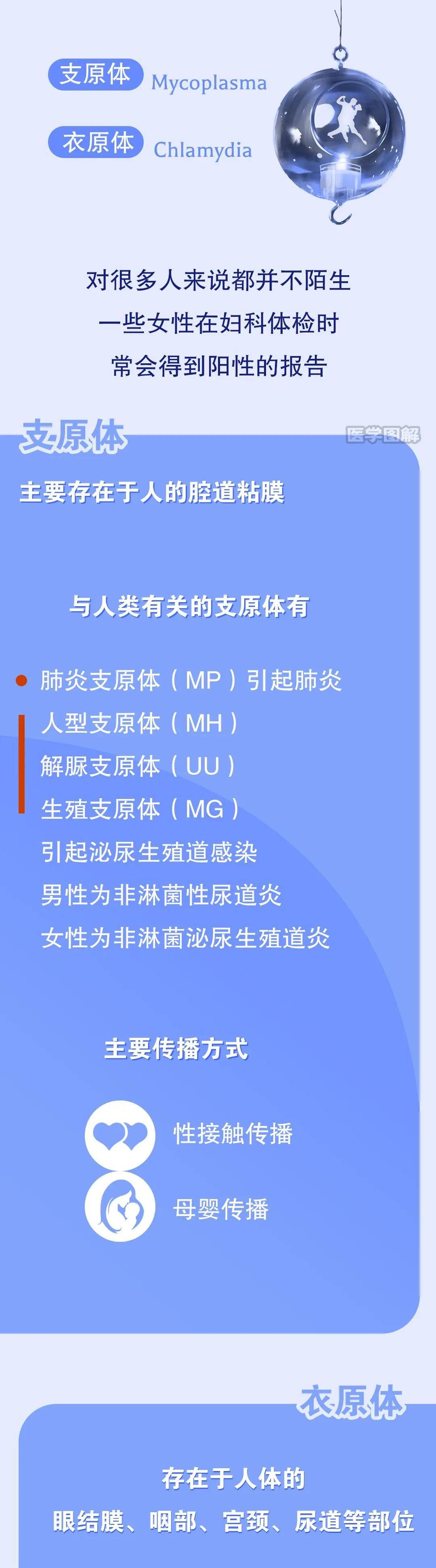 支原体、衣原体到底怎么回事？怎么治疗、预防丨医学图解