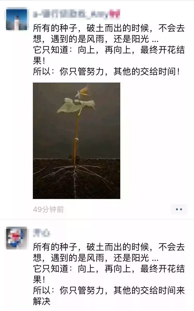 万能的朋友圈，你的营销文案太"骚"了