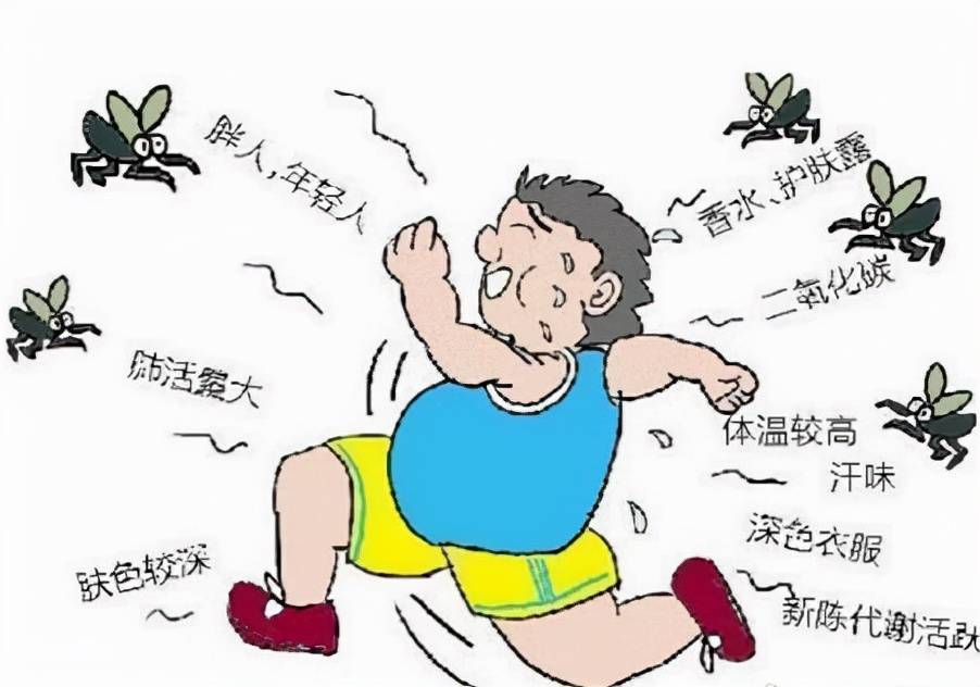 蚊子为什么这么厉害？被咬后只是单纯起个脓包吗？科学解析其奥秘