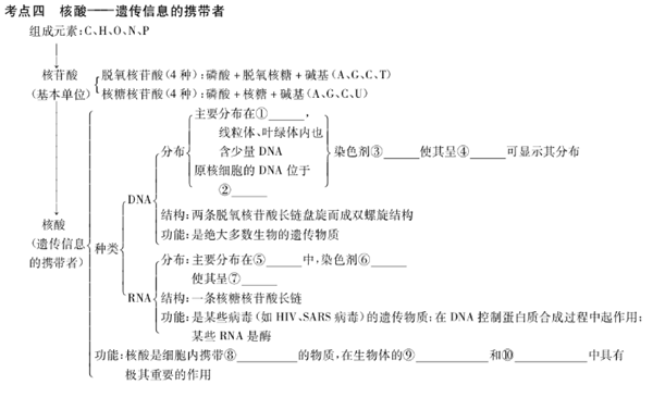 生物必修一知识框架结构图 高中生物知识点总结